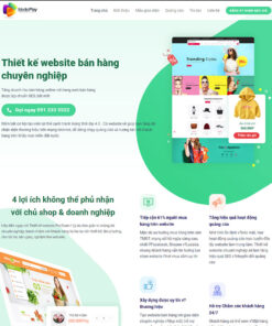Thiết kế website wordpress dịch vụ thiết kế web 01