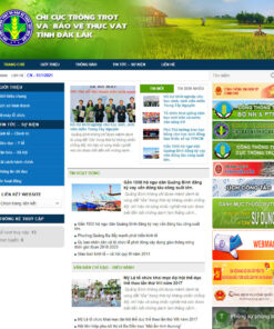 Thiết kế website wordpress nhà nước 03